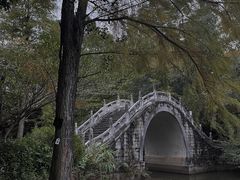 -深圳仙湖植物园