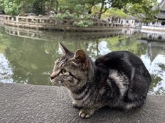 -西园戒幢律寺