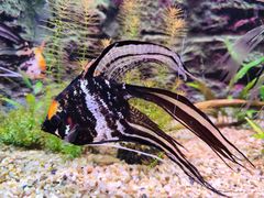 -上海海洋水族馆