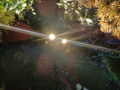 -湘当爱·鲜煮现炒(松岗立业路店)