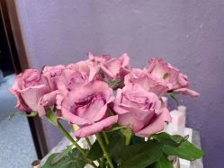 -花隐·美芙炫海菲秀皮肤管理中心