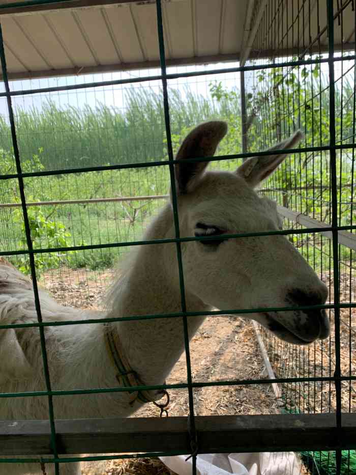 鹊华开心农场-"五一去哪……哪哪都是人.自助烧烤好去处,.