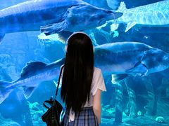 -华夏文旅海洋公园