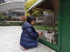 -成都安仁福朋喜来登酒店