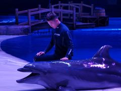 -华夏文旅海洋公园