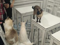 -白夜2D咖啡馆