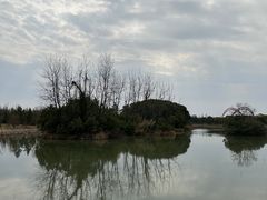 -艾溪湖湿地公园
