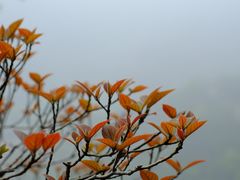 -雁荡山风景名胜区
