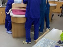 -联合动物医院(光谷诊疗中心)