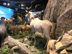 -陕西自然博物馆