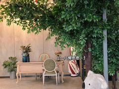 -了不起的考拉咖啡店(高新店)