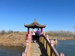 -黄河富景生态世界