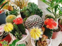 -金陵花卉交易市场