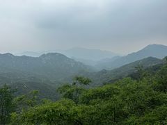 -大岭沟猕猴桃谷风景区