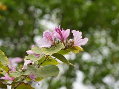 -文华公园(禅城区)