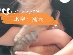 -Promise 国风宠物空间(上邦百汇城店)