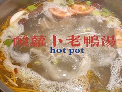 -守柴炉烤鸭(科华中路王府井店)