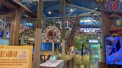 -卡通尼·Safari非洲探索乐园·生日会(金桥国际商业广场店)
