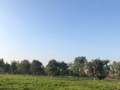 -汉长安城未央宫国家考古遗址公园