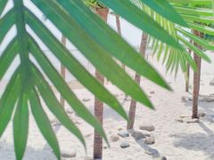 -呼兰河口湿地公园