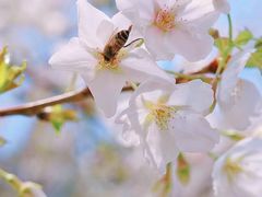 -西北湖绿化广场