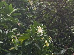 -潮发潮汕牛肉店(龙洞店)