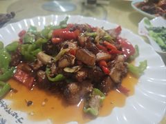 -煲来饱去冷水鱼