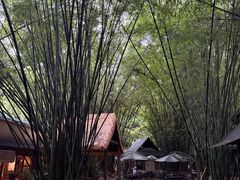 -勐丽梦兰傣味餐厅