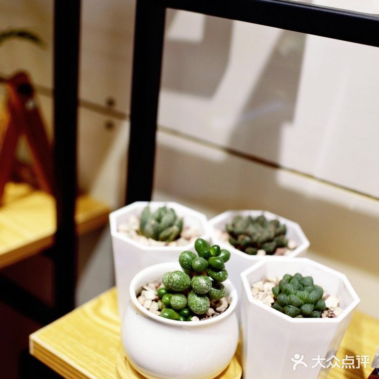 在回龙观喝到一杯好咖啡