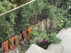 -墨纪Mojí墨西哥餐厅(官舍店)