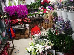-无锡文化工艺品市场(槐古路店)