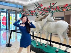 -红星美凯龙北京至尊MALL(东四环中路店)