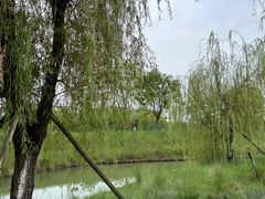 -中国天府农业博览园