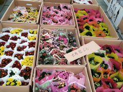 -龙大花卉苗木市场