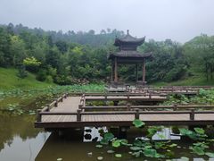 -黄陂区野村谷景区