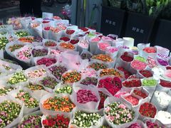 -溪岸路花鸟市场