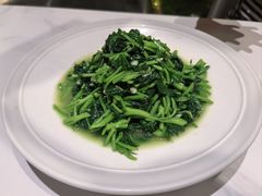 -阿露佳·舌尖上的安吉菜