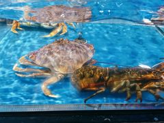 -盒马鲜生(杭州萧山万象汇店)