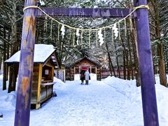 -北海道神宫