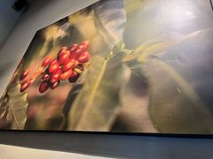 -星巴克(深圳妇儿大厦店)