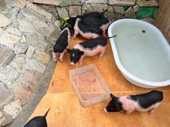 -HERRE·FARM 赫尔露营农场·团建聚会包场