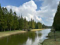 -黄海国家森林公园