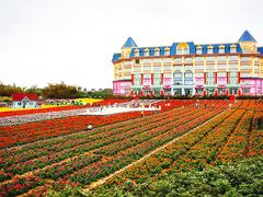 -广州花之恋城堡酒店