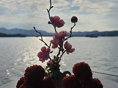 -柳莺湖上·湖景餐厅·江南菜(西湖店)