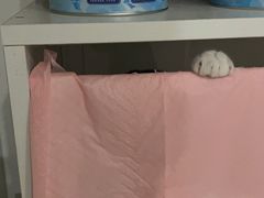 -萌兽医馆·眼科·异宠专科(三里屯店)