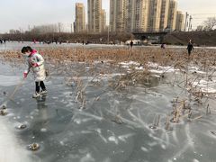-前关湿地公园