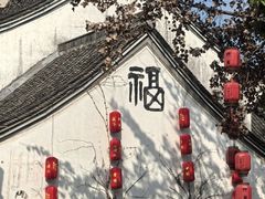 -鲁镇