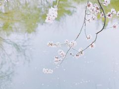 -宣武艺园