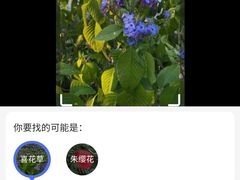 -纪念孙中山市政公园