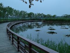 -绿堤公园